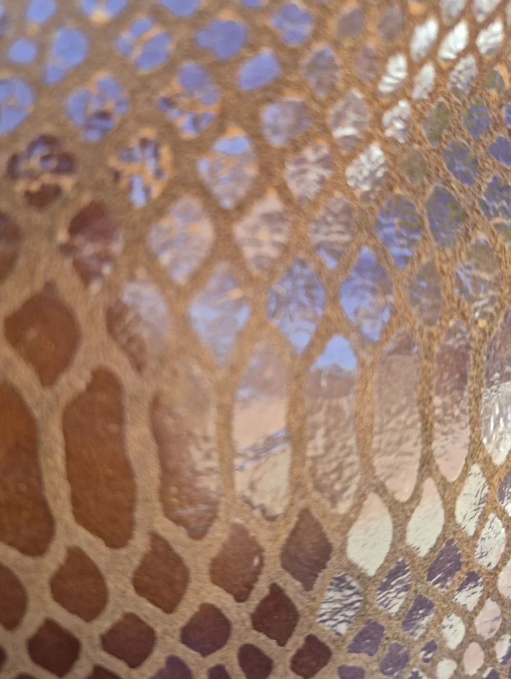 Dooney & Bourke Erica Snakeskin Hobo Shoulder Bag - Picture 6 of 14